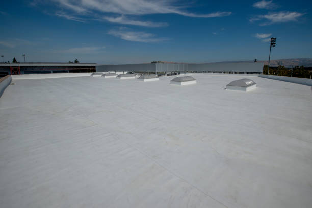 Best Roof Coating and Sealing  in Cairo, IL