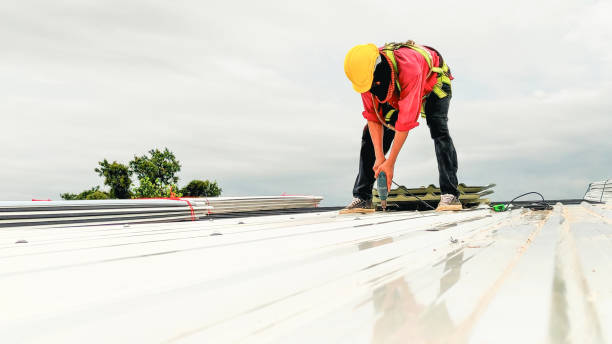 Best 4 Ply Roofing  in Cairo, IL
